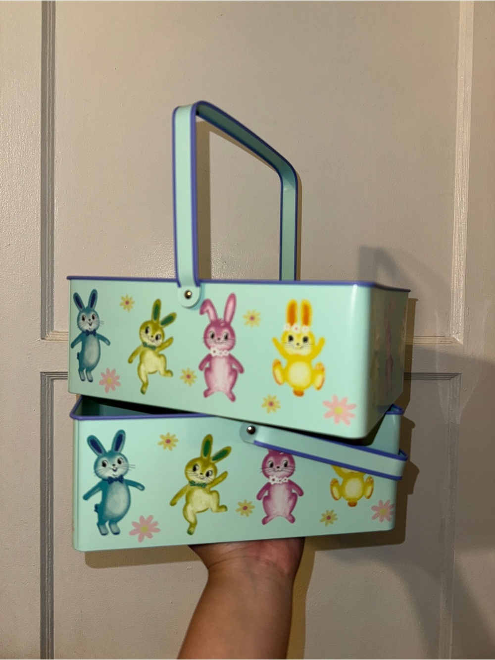 Spritz Easter Bunny Container Baskets